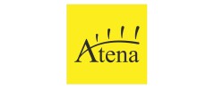 Logo ATENA