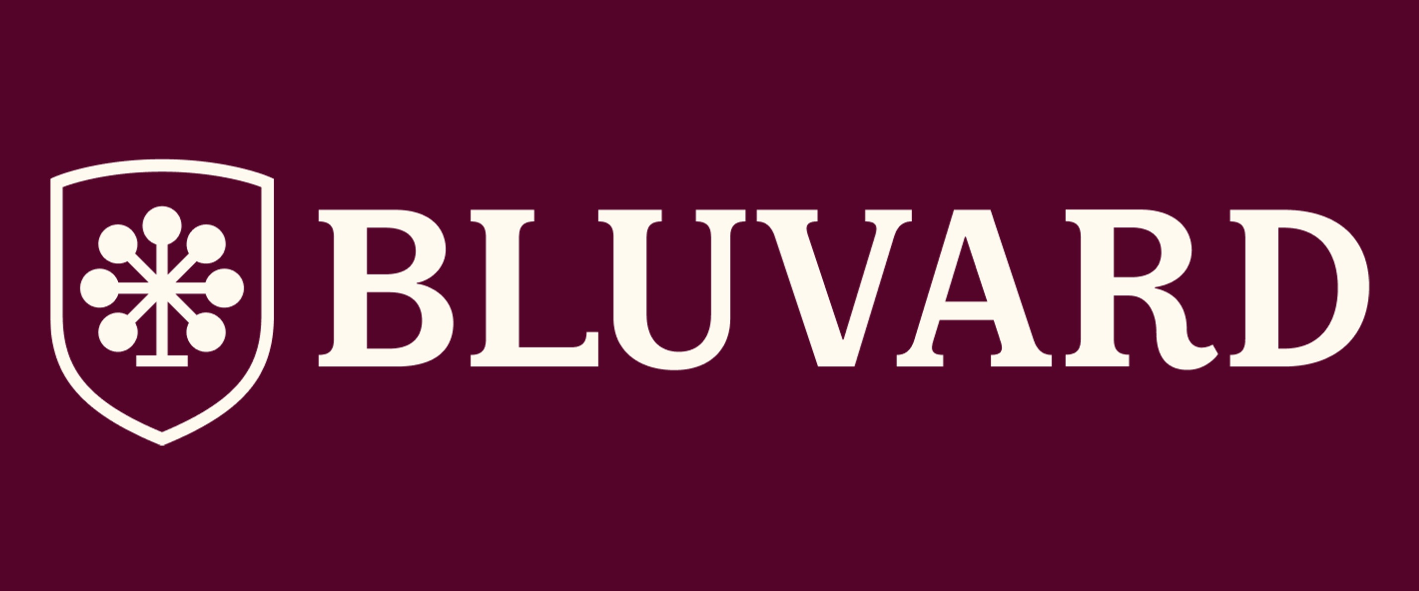 Logo BLUVARD s.r.o.
