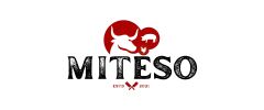 Logo MITESO s.r.o.