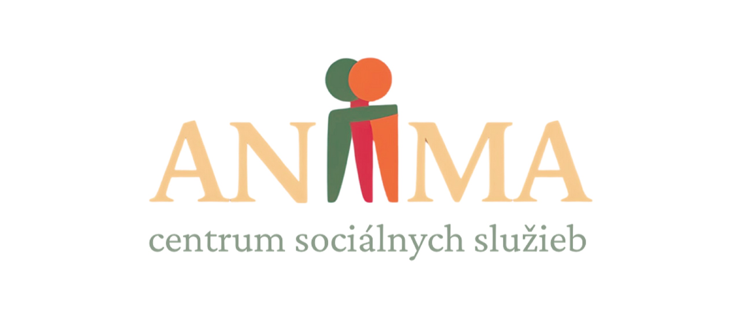 Logo CSS ANIMA