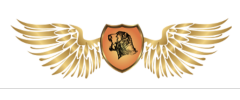 Logo KASprof-SECURITY agency s.r.o, r.s.p