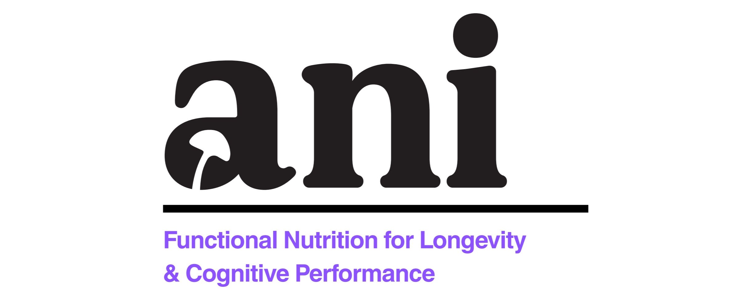 Logo ANilab s.r.o.