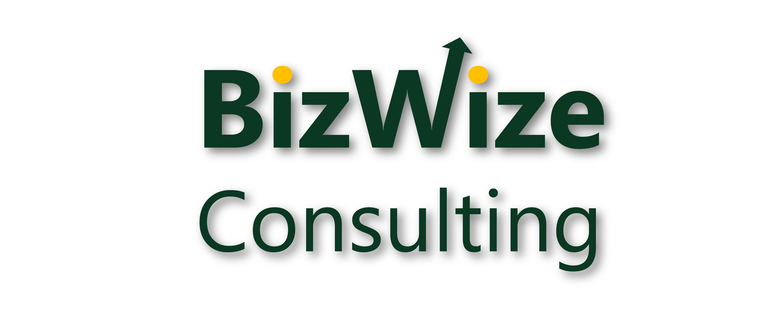 Logo BizWize Consulting s. r. o.